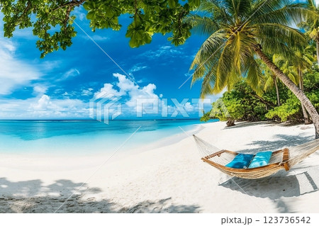 Tropical beach background as summer relax landscape with beach swing or hammock and white sand and calm sea for beach template. Amazing beach scene vacation and summer holiday concept. Luxury travel 123736542