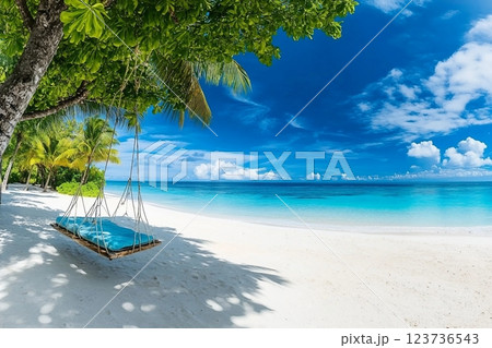 Tropical beach background as summer relax landscape with beach swing or hammock and white sand and calm sea for beach template. Amazing beach scene vacation and summer holiday concept. Luxury travel 123736543
