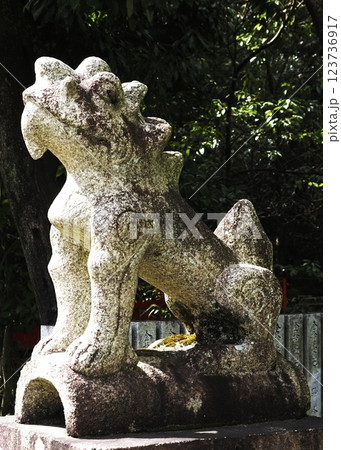伊射奈岐神社にある狛犬 123736917