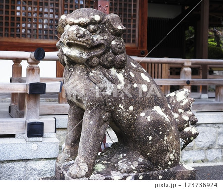 伊射奈岐神社にある狛犬 123736924