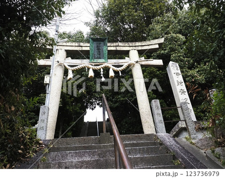 鳥居のある風景　伊射奈岐神社 123736979