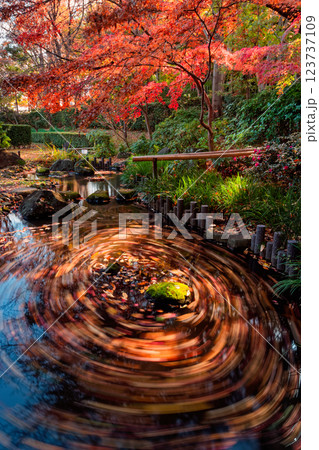 港北ニュータウン・都筑民家園の紅葉 港北ニュータウン・都筑民家園の紅葉 123737109