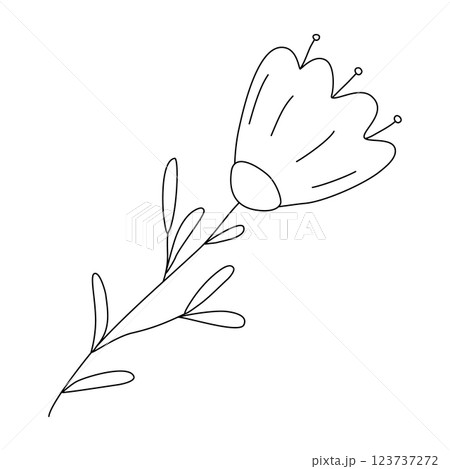 Simple stylized blooming wildflower with leaves on stem, doodle vector outline for coloring book 123737272