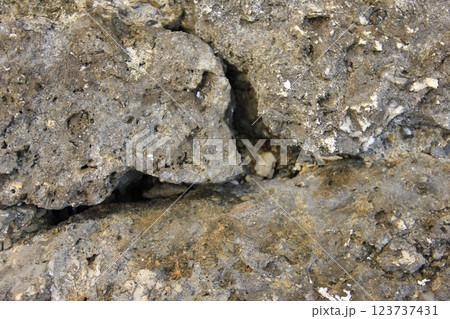 岩の表面に付着した氷 岩の表面に付着した氷 123737431