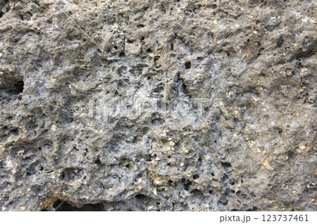 岩に付着した氷 123737461