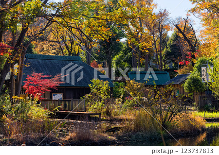 秋の港北ニュータウン・せせらぎ公園の風景 123737813