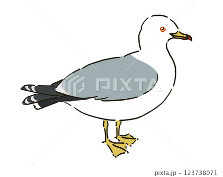 ウミネコのイラスト 123738071