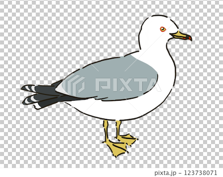 ウミネコのイラスト 123738071