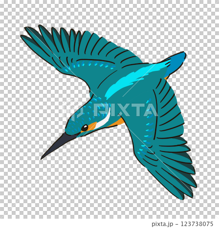 Flying Kingfisher illustration Flying Kingfisher illustration 123738075