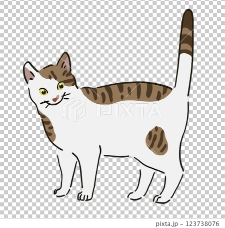 Illustration of a brown and white cat Illustration of a brown and white cat 123738076