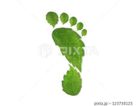 green leaf growing footprints, co2 symbol isolated on White Background. Reduce CO2 emission concept.Clean and friendly environment without carbon dioxide emissions.With clipping path. 123738125
