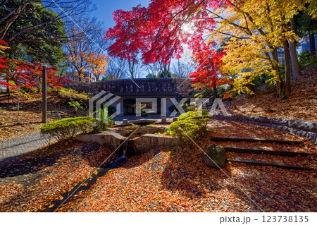 港北ニュータウン・ささぶねの道の紅葉 123738135