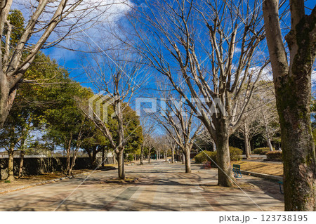 笠松運動公園 笠松運動公園 123738195