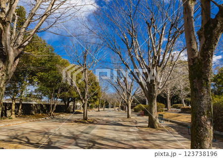 笠松運動公園 笠松運動公園 123738196