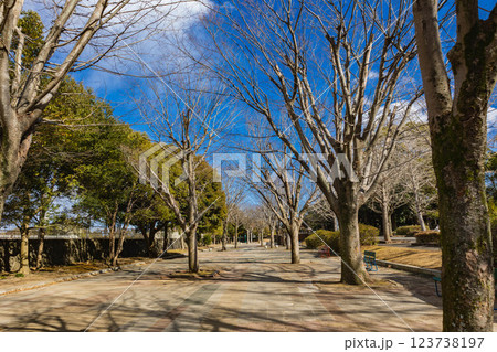 笠松運動公園 笠松運動公園 123738197