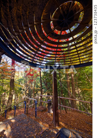 港北ニュータウン・都筑中央公園の紅葉 123738435