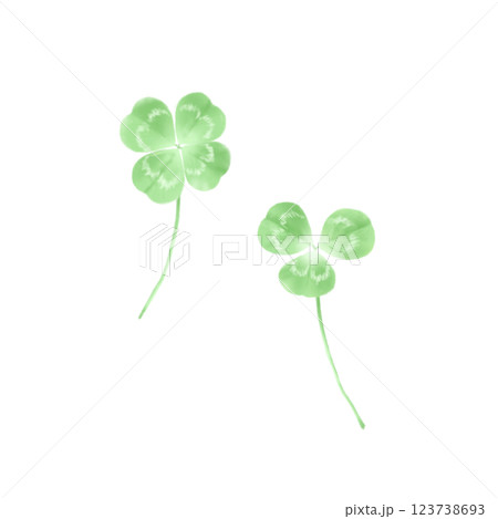 癒しクローバー　2本 123738693