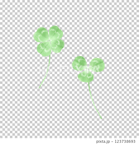 癒しクローバー　2本 123738693