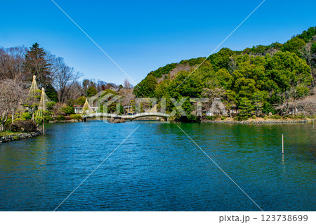 東京都町田市　薬師池公園　梅園　薬師池　都指定名勝　 123738699