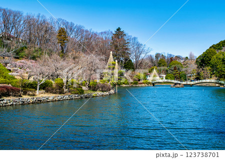 東京都町田市　薬師池公園　梅園　都指定名勝　 123738701