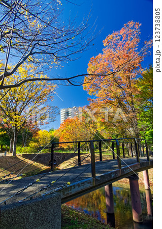港北ニュータウン・大原みねみち公園の紅葉 123738805
