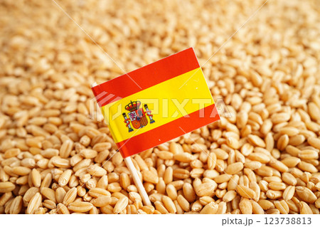 Spain flag on grain wheat, trade export and economy concept. 123738813