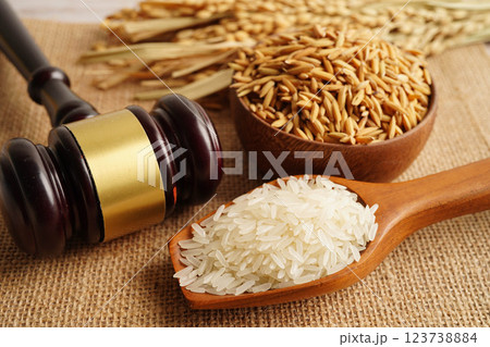 Judge gavel hammer with good grain rice from agriculture farm. Law and justice court concept. 123738884