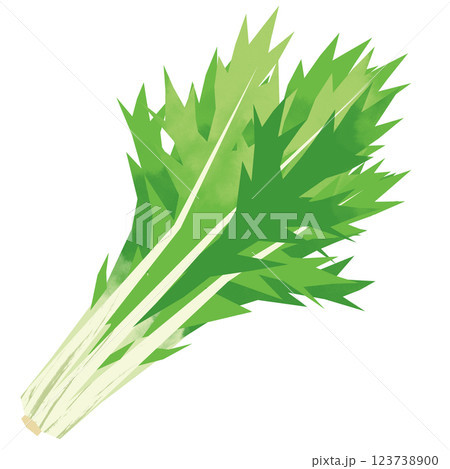 切り絵風の水菜 123738900