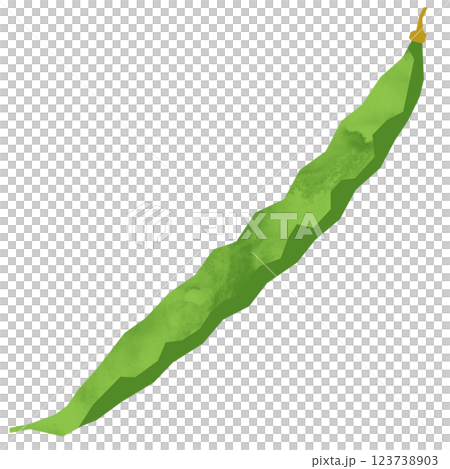 切花式青豆 123738903