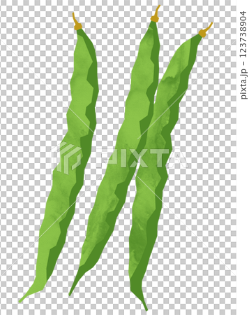 切花式青豆 123738904