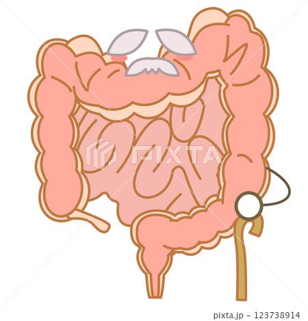 老化で衰えた大腸のキャラクターイラスト 123738914