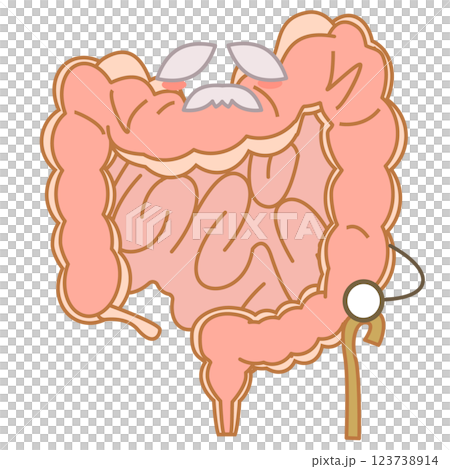 老化で衰えた大腸のキャラクターイラスト 123738914