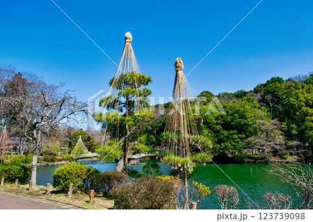 東京都町田市　薬師池公園　梅園　都指定名勝　 123739098