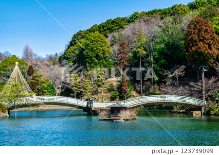 東京都町田市　薬師池公園　梅園　タイコ橋　都指定名勝　 123739099