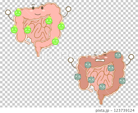 Character illustration of a large intestine dominated by good bacteria and a large intestine dominated by bad bacteria 123739124