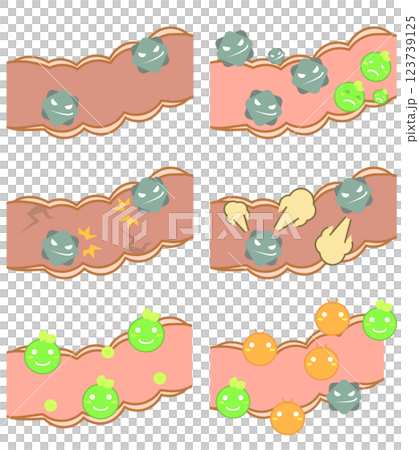 大腸内部の腸内細菌のイラストセット 123739125