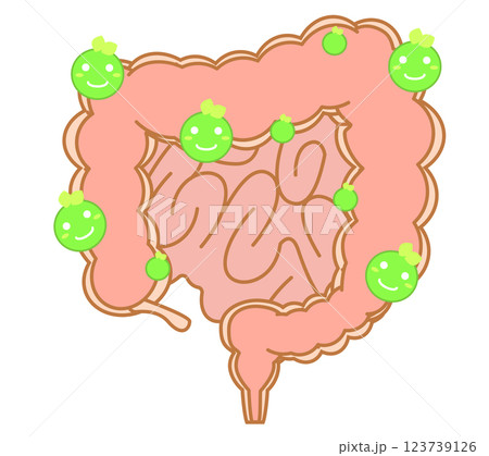 善玉菌優位の大腸 123739126
