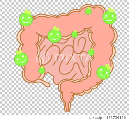 善玉菌優位の大腸 123739126