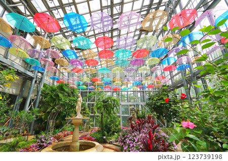 色鮮やかなアンブレラスカイ 123739198