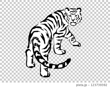 老虎回頭看黑白 老虎回頭看黑白 123739392