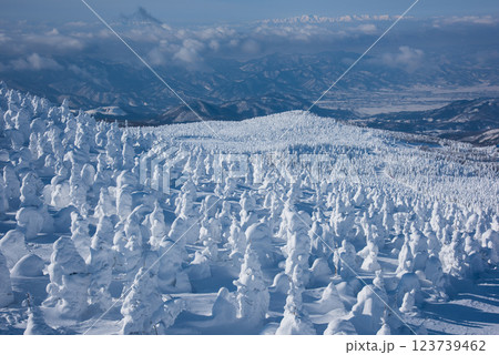 蔵王の樹氷原風景 蔵王の樹氷原風景 123739462