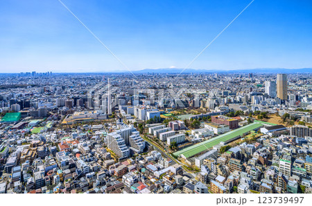 日本の東京都市景観 富士山や武蔵小杉、二子玉川、三軒茶屋駅前のキャロットタワー、中目黒などを望む 123739497