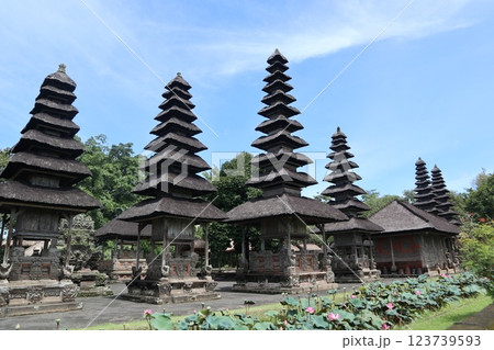 バリ島のタマン・アユン寺院 123739593