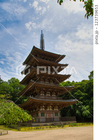 醍醐寺の五重塔 京都 醍醐寺の五重塔 京都 123739653