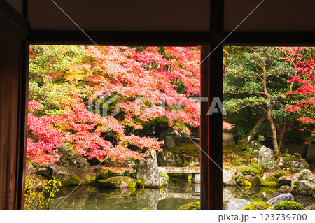 紅葉美しい秋の京都・イメージ写真 123739700
