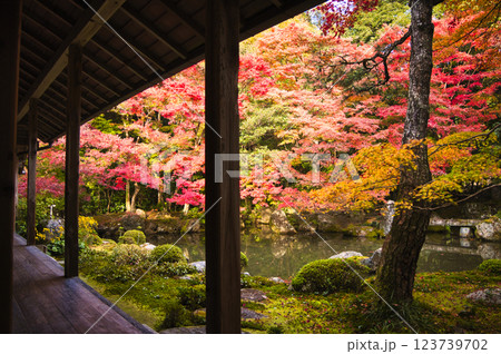 紅葉美しい秋の京都・イメージ写真 123739702