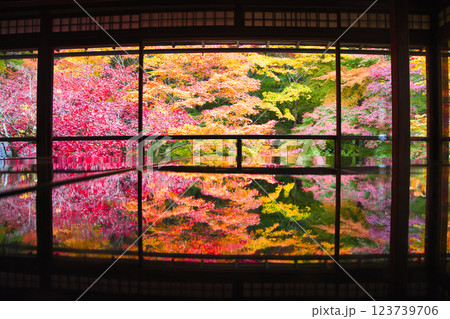 紅葉美しい秋の京都・イメージ写真 紅葉美しい秋の京都・イメージ写真 123739706