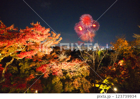 紅葉美しい秋の京都・イメージ写真 紅葉美しい秋の京都・イメージ写真 123739934