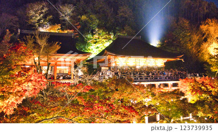 紅葉美しい秋の京都・イメージ写真 123739935