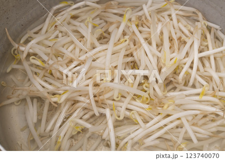 もやしときゅうりのナムルを作る工程 もやしときゅうりのナムルを作る工程 123740070